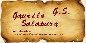 Gavrilo Salapura vizit kartica